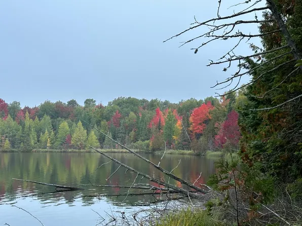 On Hawk Lake Rd E, Marenisco, MI 49947