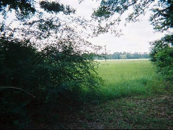 2nd image of Rheusaw Crawford