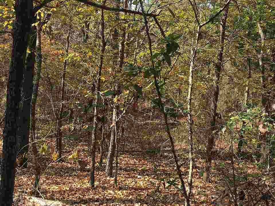 1st image of 0 County Road 3418