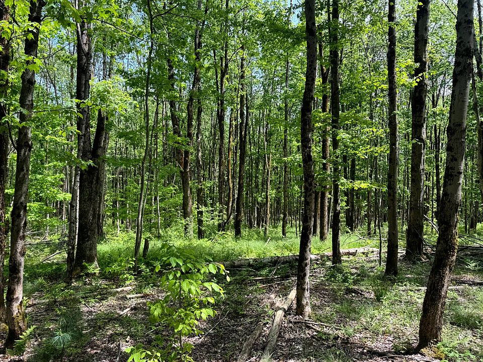 1st image of 1.9 Marsh Rd #9