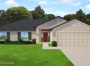 13106 Nusser Ave, Weeki Wachee, FL 34614