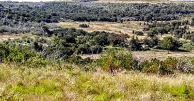 2nd image of 0001 Hwy 180