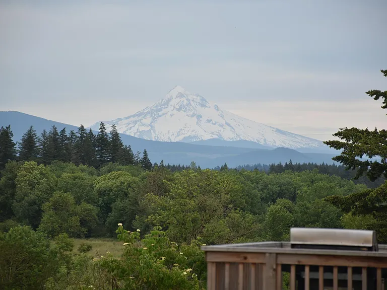 Mount Hood View