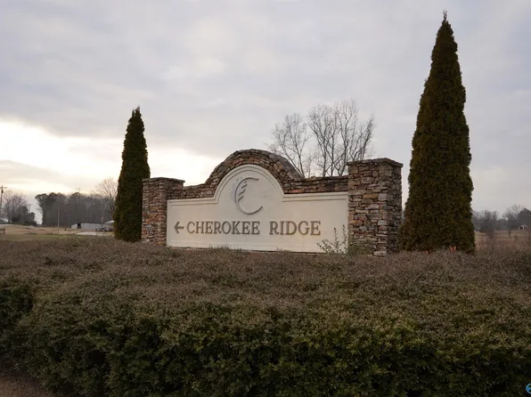 LOT 140 Emerald Point, Union Grove, AL 35175