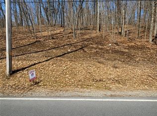 Route 365 Lot 20, Remsen, NY 13438