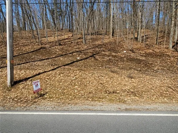 Route 365 Lot 20, Remsen, NY 13438