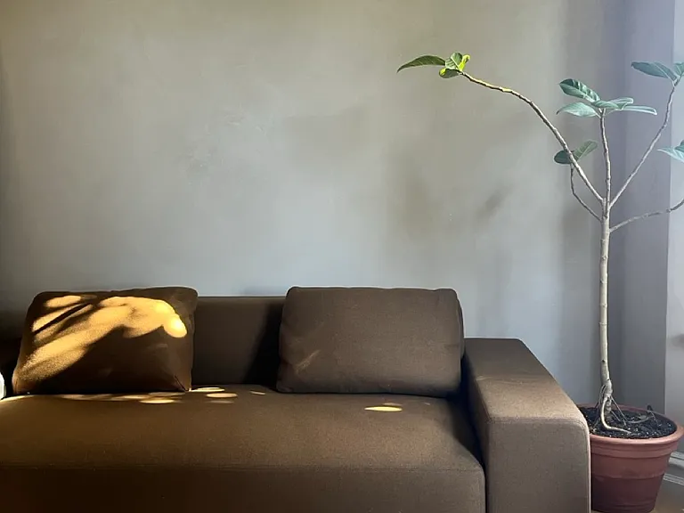 59 Beideman St #59 — Photo 8