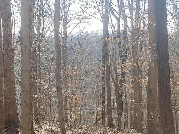 0 Rue Des Rindler Rd, Alpine, TN 38543