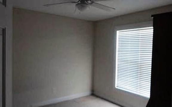 5th image of 174 Ash Lily Ct