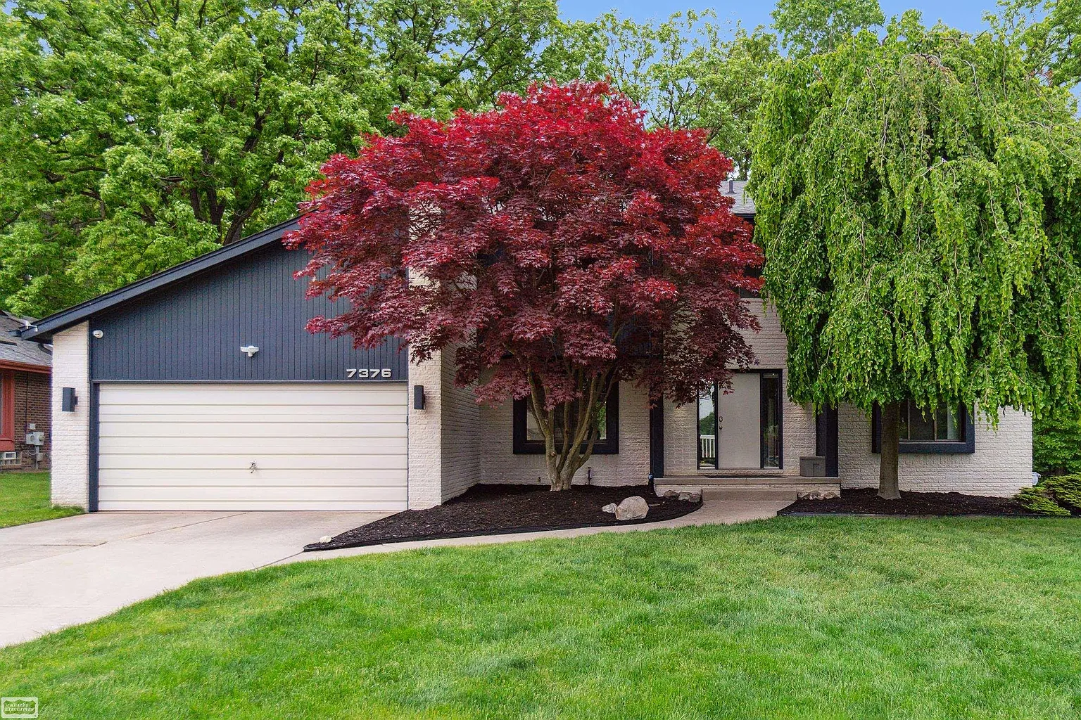 7376 Silver Leaf Ln photo 1
