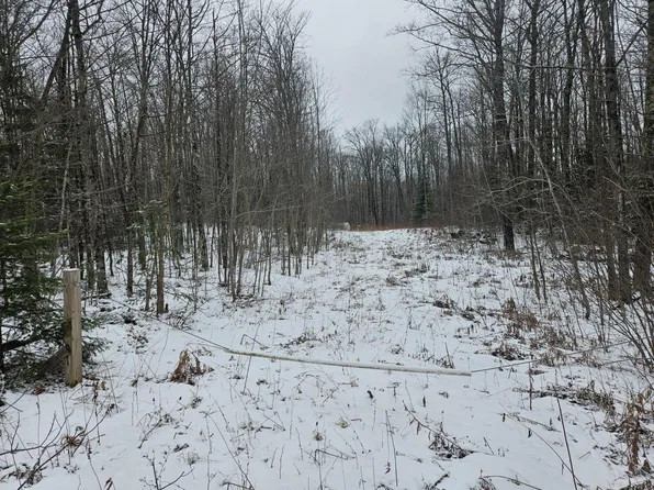 On Trott Rd, Mellen, WI 54546