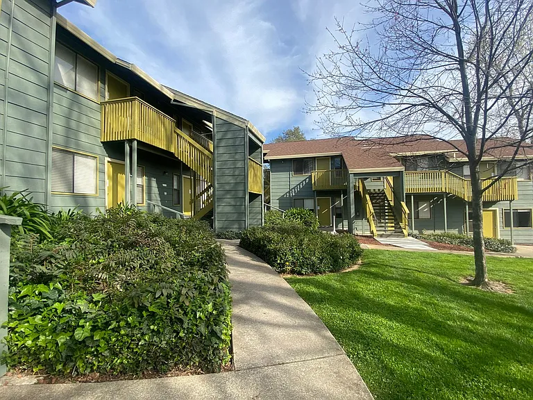 Olive Glen — Photo 22