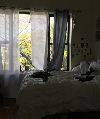 Rented by P Management | media 45