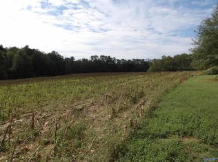 2073 County Road 111, Albertville, AL 35951
