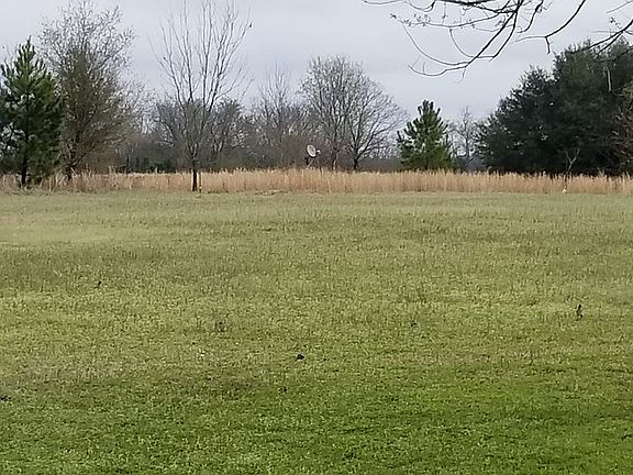 View from front door