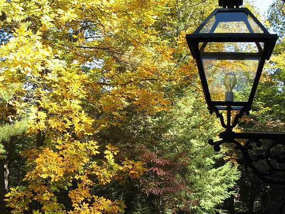 Dining Room View Fall 07