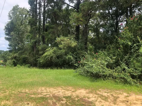 41 Flynt Rd, Laurel, MS 39440