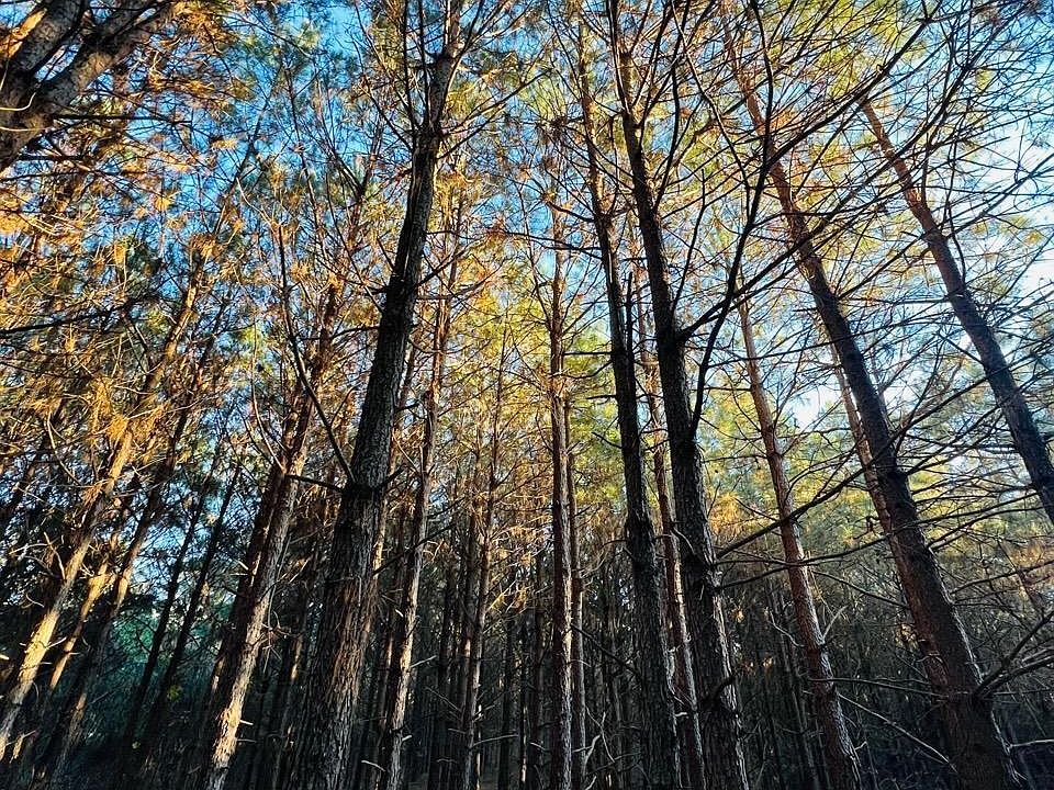 1st image of 0 County Road 3659