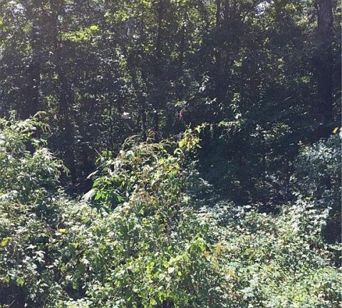 4th image of Bradford Dr