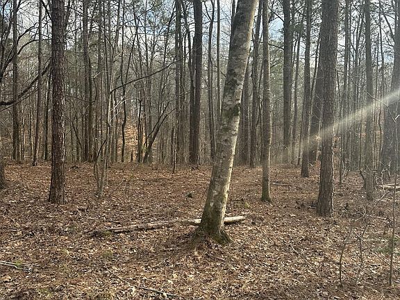 3rd image of 51 Chinquapin Pass