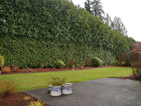 2nd image of 1630 236th Ave NE