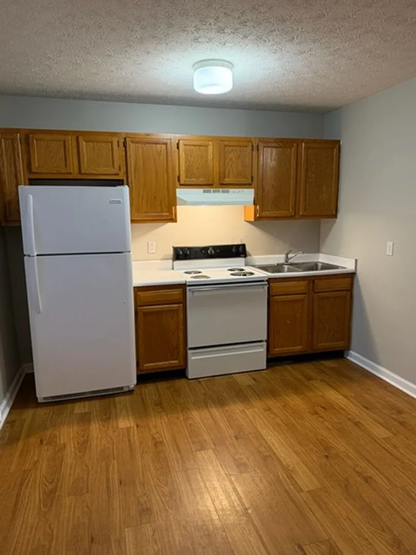 206 Patsy Drive — Photo 3