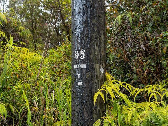 5th image of 11-2850 Hibiscus St Lot 7406