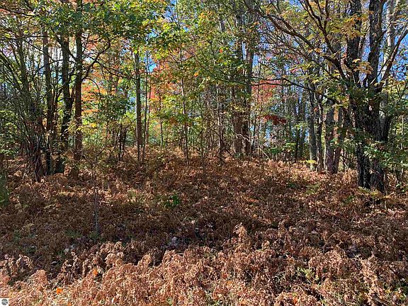 4th image of Vl Forest Dr