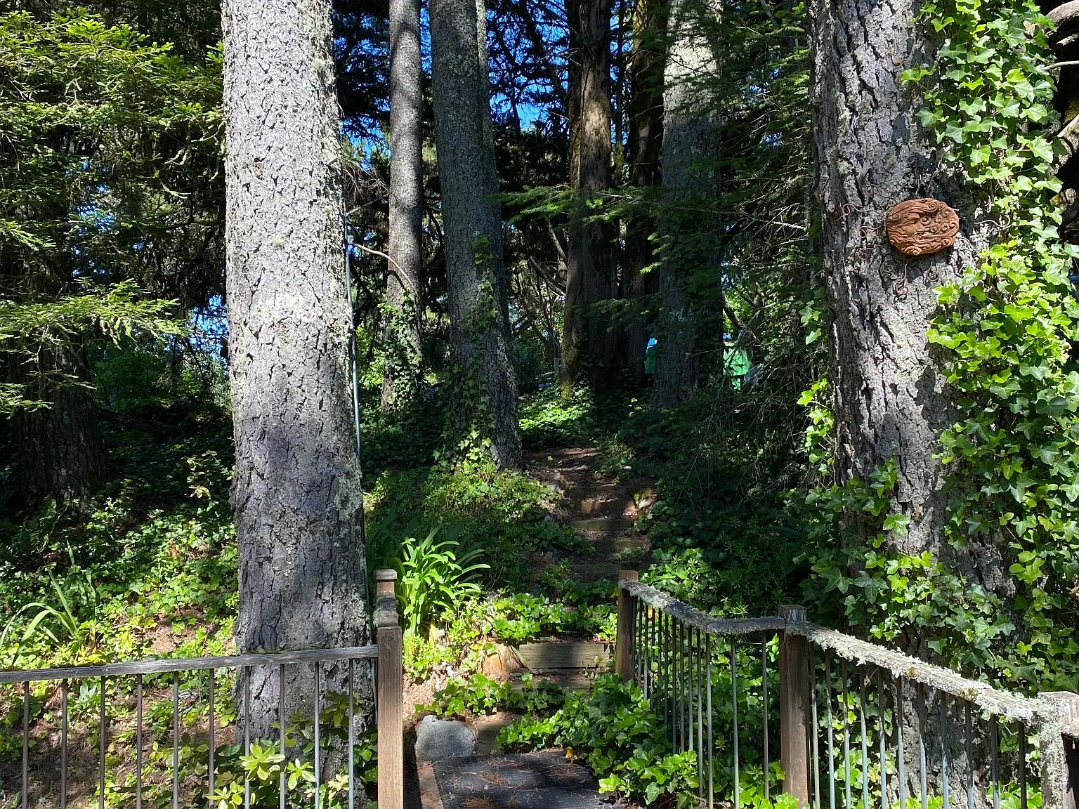 12360 Skyline Blvd — Photo 3