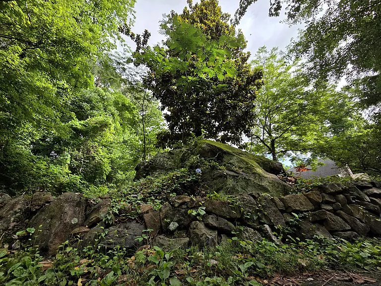 307 Old Mountain Rd — Photo 14