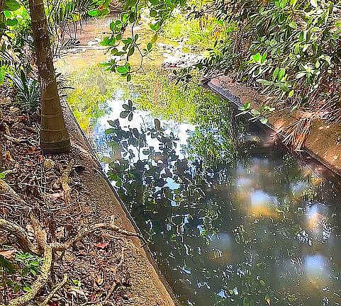 Canal de agua natural