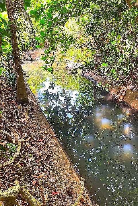 Canal de agua natural