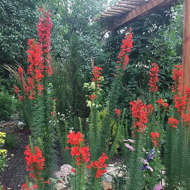 5617 Ridgewood Dr photo 1