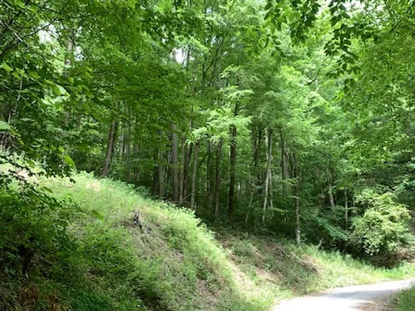 0 Little Ellijay Road, Franklin, NC 28734