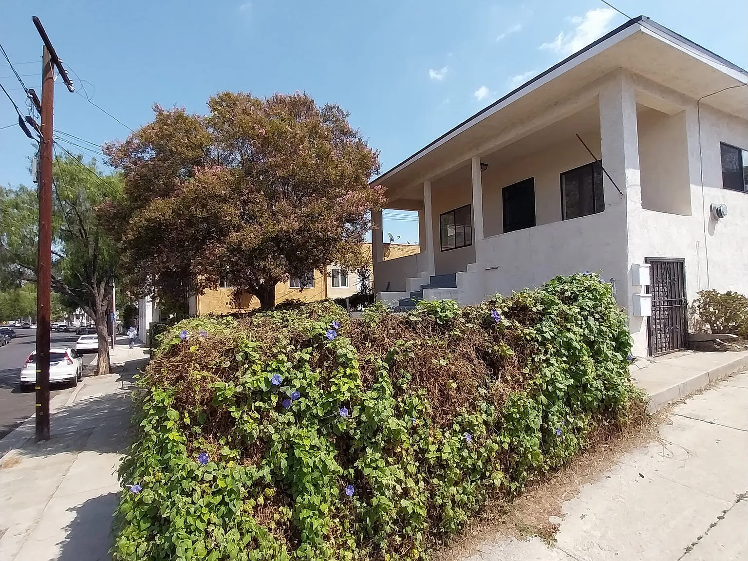 2 bed, 810 sqft, $2,600 — Photo 3