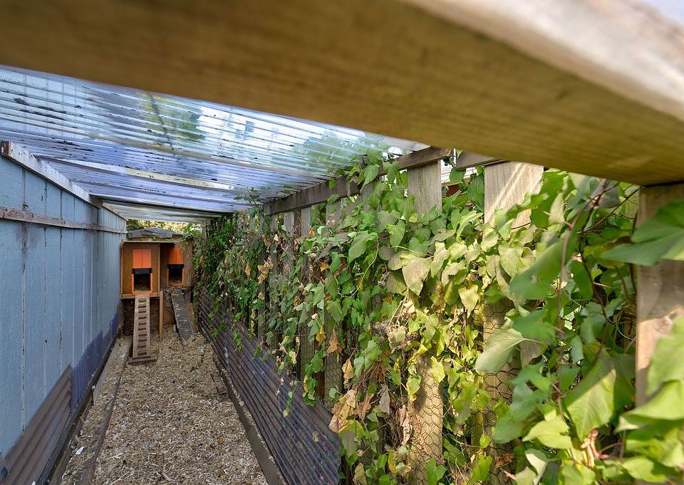 potential chicken coop and run