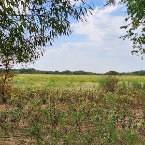 0 Stirrup Rd, Tioga, TX, 76271
