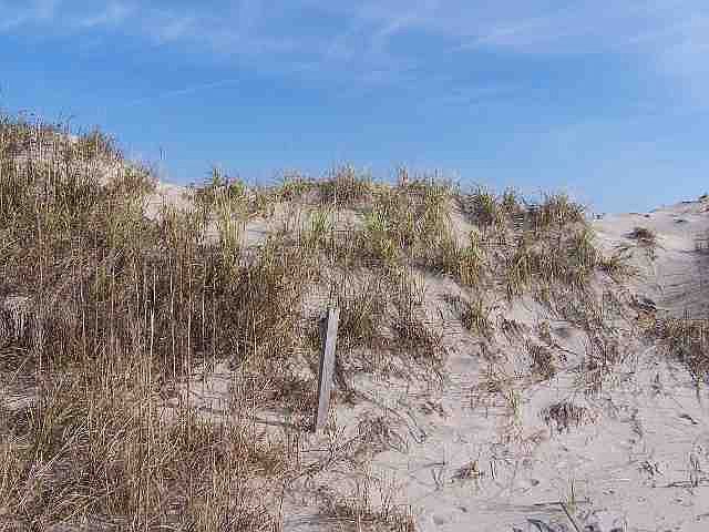 2nd image of 9529 Old Oregon Inlet Rd