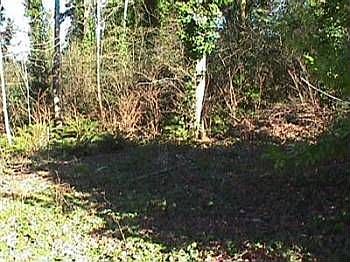 3rd image of 6606 Sunset View Dr NW
