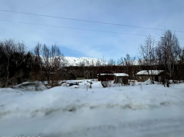 14250 E Canyon Dr, Palmer, AK 99645