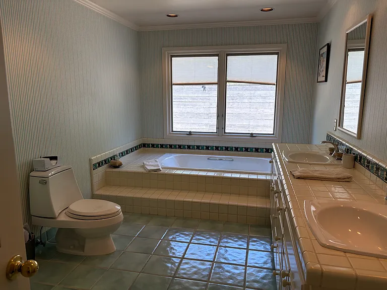 Primary bathroom with soaking tub