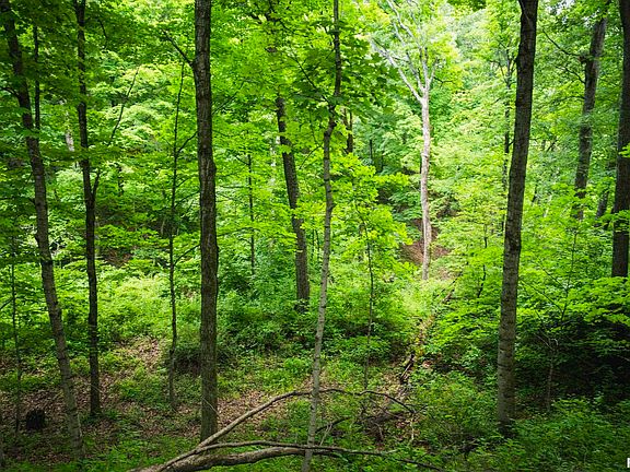 99th image of this home