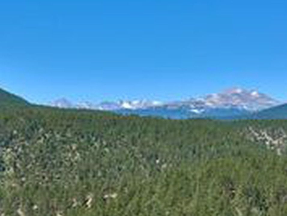 1st image of Spruce (Parcel B) Dr
