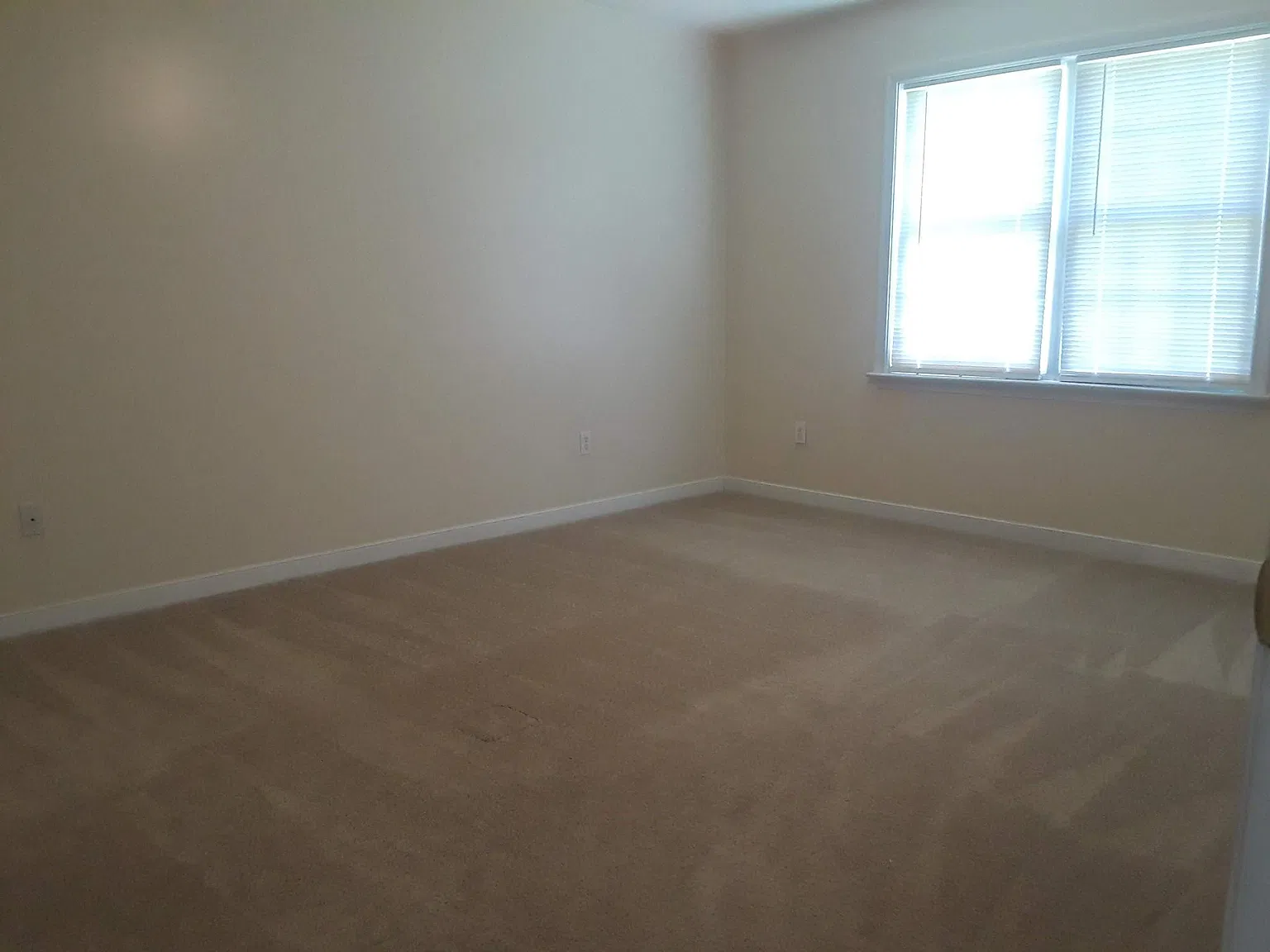 2333 Old Church Rd — Photo 4