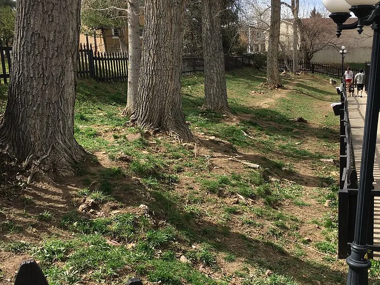 Harvard Park — Photo 13