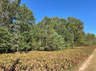 0 S Frank Smith Rd, Chase, MI 49623