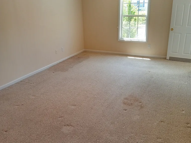 297 Wiltshire Dr — Photo 4