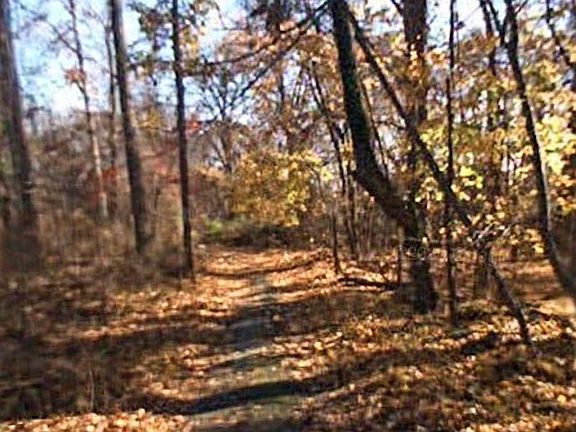 2nd image of Mellinee Ave