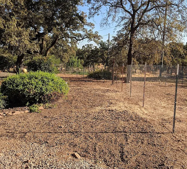 5660 Bell Rd — Photo 5