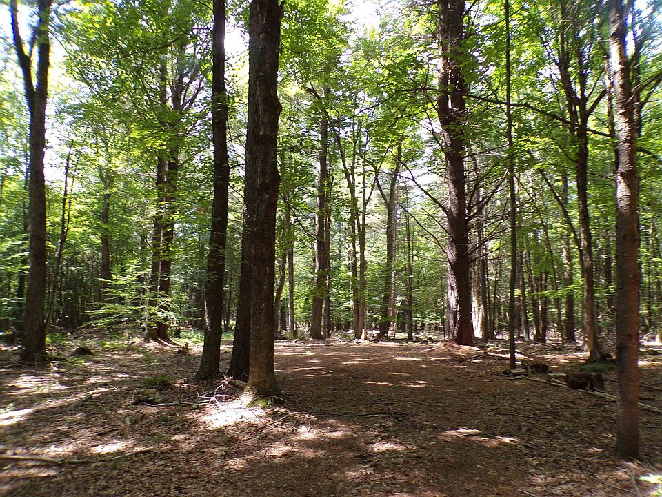 1st image of Randall Dr